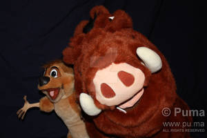 Douglas Pumbaa and Timon Plush