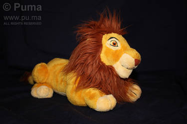 Mufasa plush from DisneyWorld