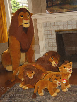 The Lion King - Simba growing up in plush