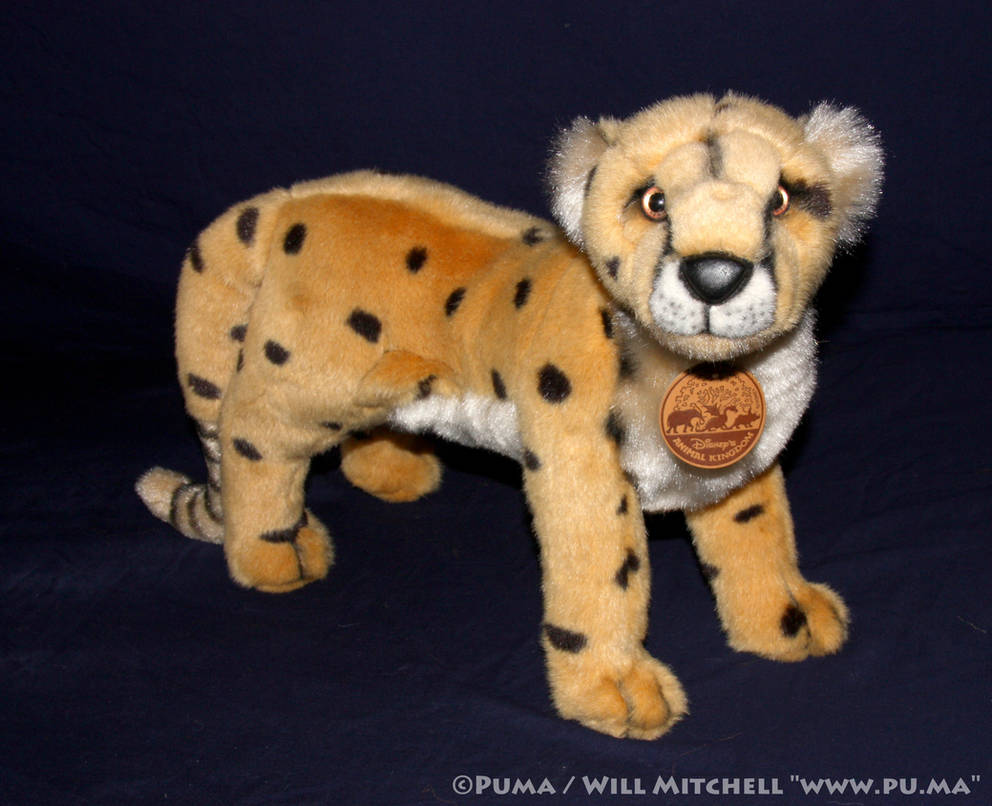 Disney Animal Kingdom - Cheetah plush 1996 by dapumakat on DeviantArt