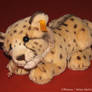 Steiff - Rocco Cheetah Cub plush - EAN 064494