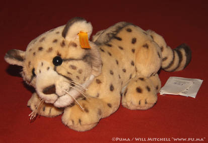 Steiff - Rocco Cheetah Cub plush - EAN 064494