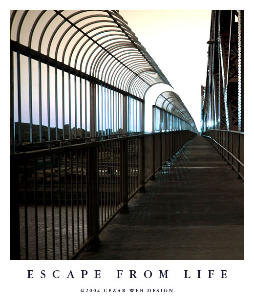 Escape From Life