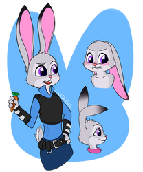 Judy Practice