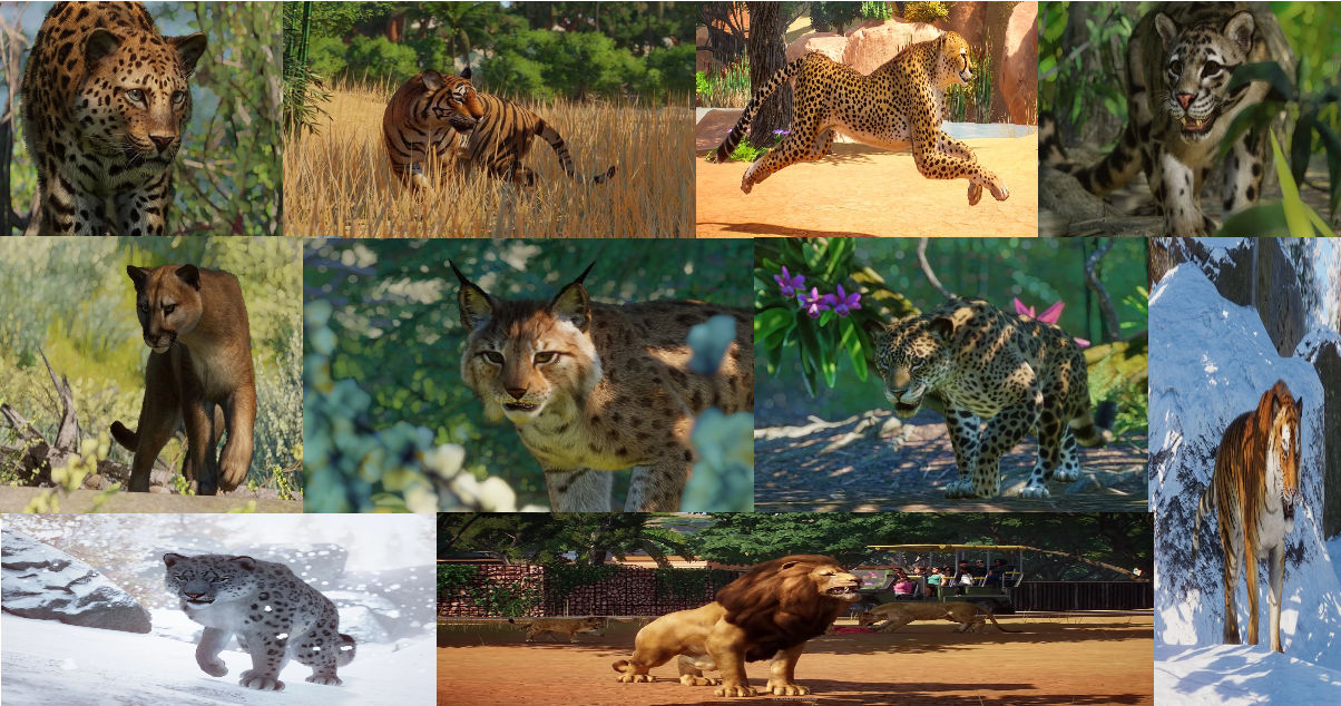 Planet Zoo all cats by SecondIndominus on DeviantArt