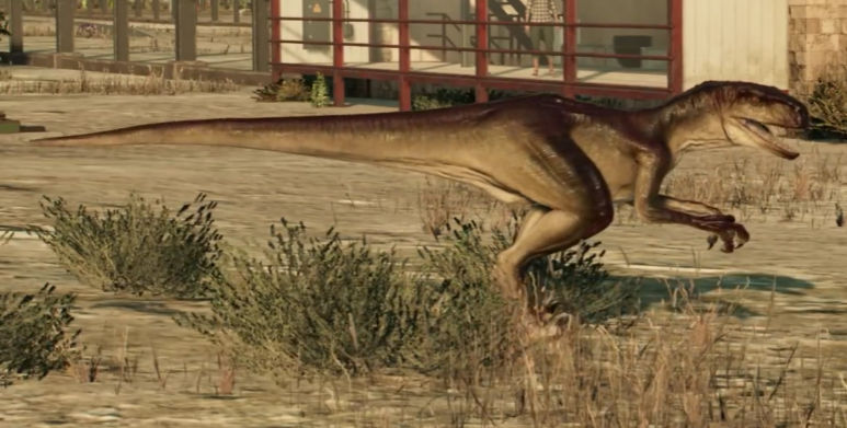 Aggressive Raptors Aggressive Atrociraptor by SecondIndominus on DeviantArt