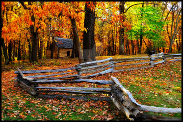 Cabin at Bushy Run