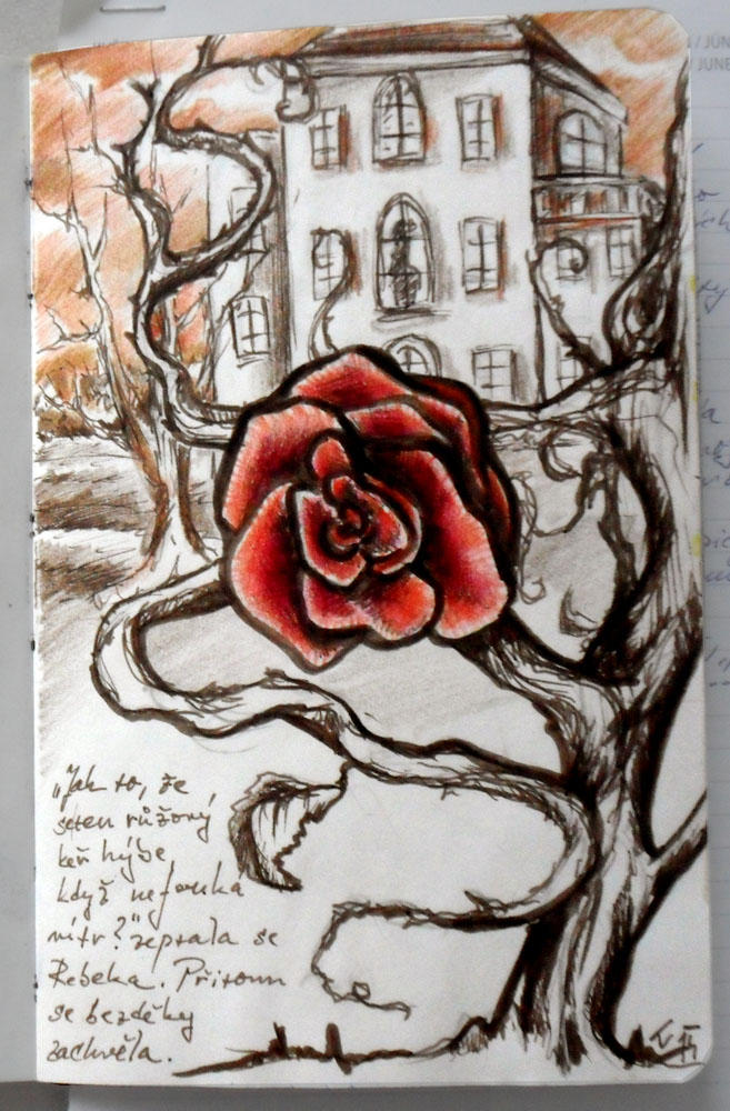 Wind In The Rose Bush By Trousilinka On Deviantart