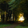 The way - der Weg 2