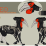 African Wild Dog-Ground Hornbill hybrid - For sale