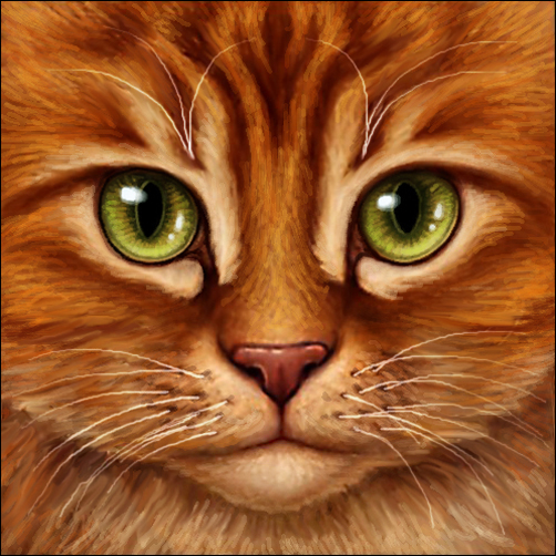 Warrior Cats : Firestar by FeysCat on DeviantArt