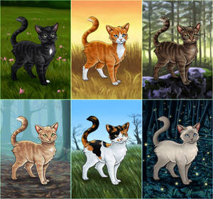 Warrior Cats - Buildable Avatar Series