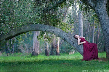 Tree Portrait