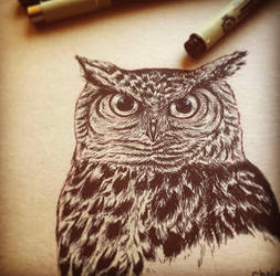 Ink Owl