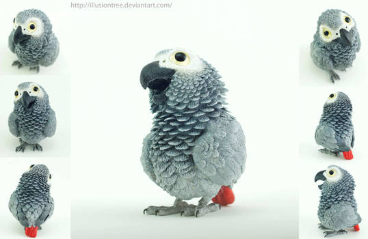 African Grey Parrot Sculpture