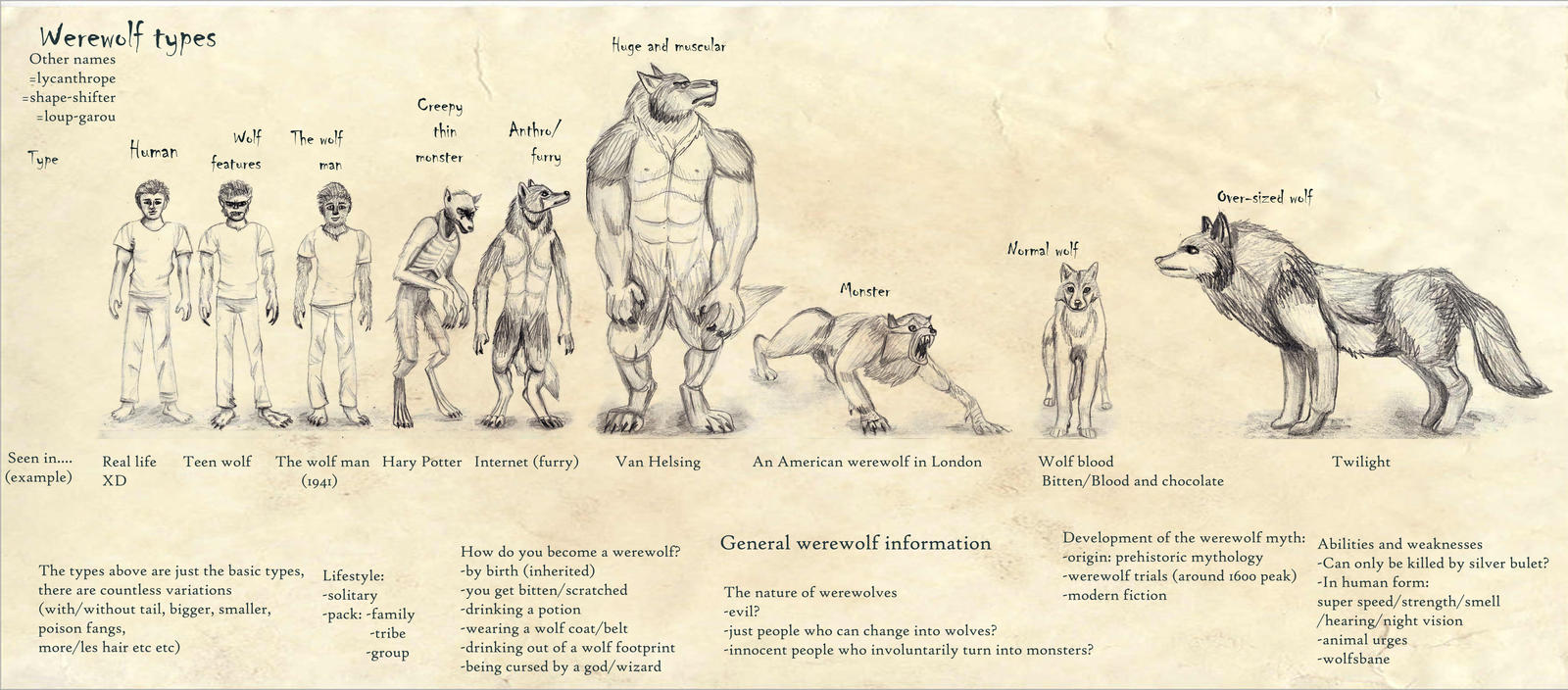 Werebeast Types Werewolf | Names, Movies, Real, Weaknesses, & Syndrome