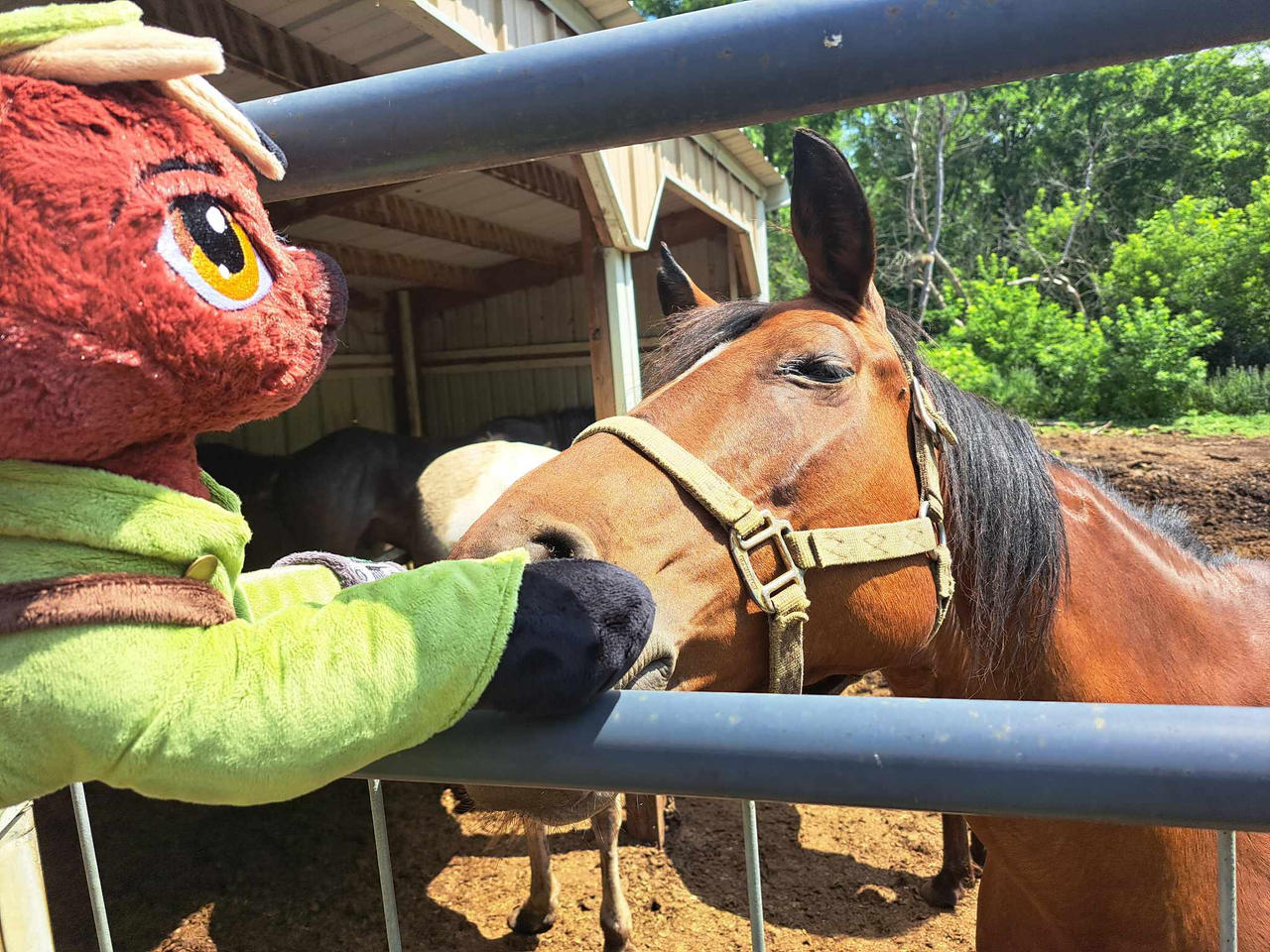 Molly Girl Plush meets Molly Girl Horse!!