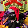 Happy Hearth's Warming to all My Little Ponies!