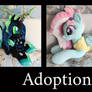 Adoption Ready Ponies!!