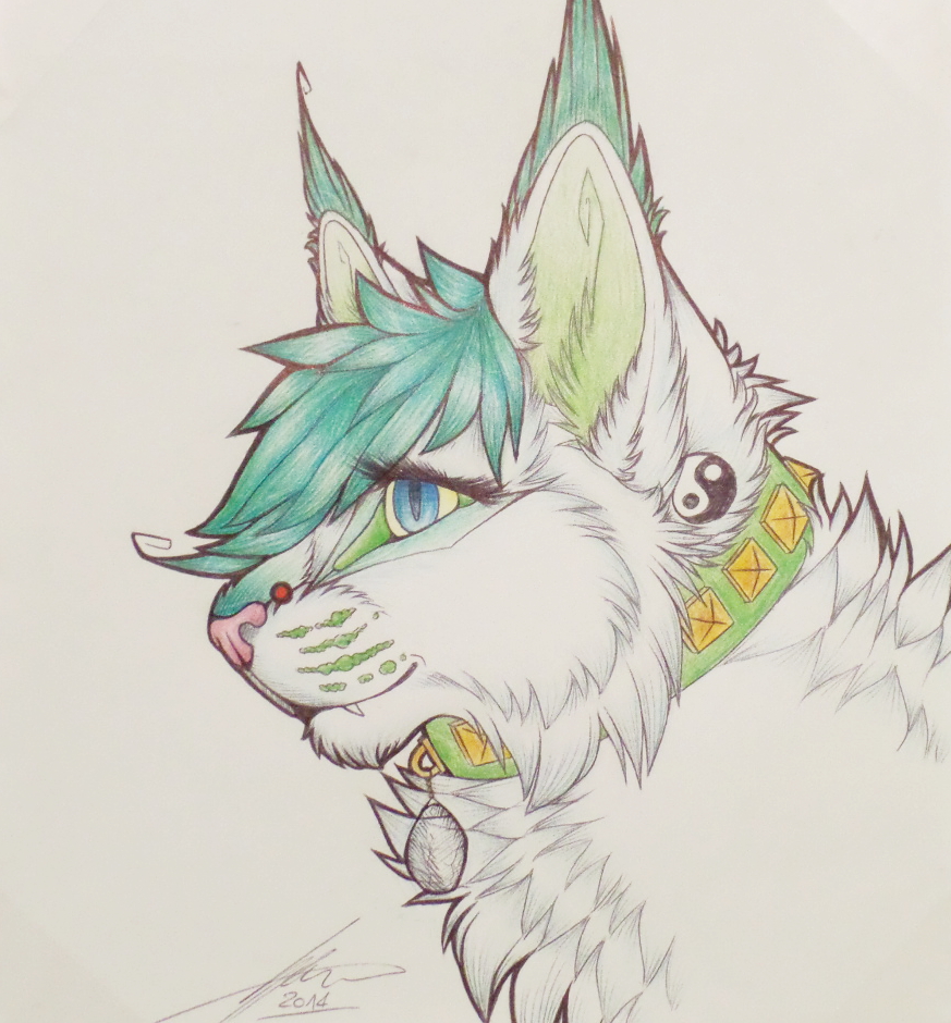 - Siko - [headshot]