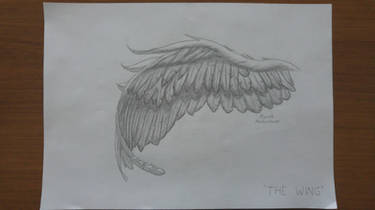 The Wing