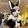 Shy Maid Bunny MFF 2013