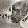 Dog and Butterfly