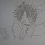 monkey D luffy