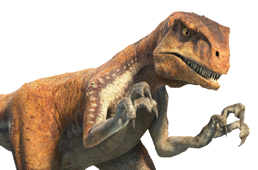 Panthera png by Coenisawesome on DeviantArt