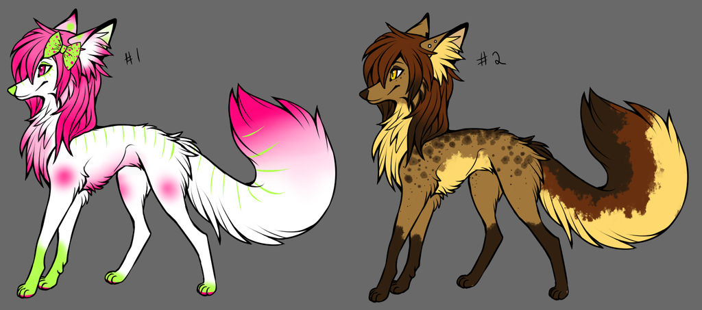 1/2 OPEN - Canine Adoptables