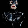 Tim Burton's Catwoman 4