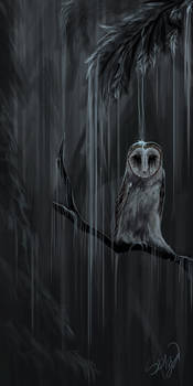 rain owl