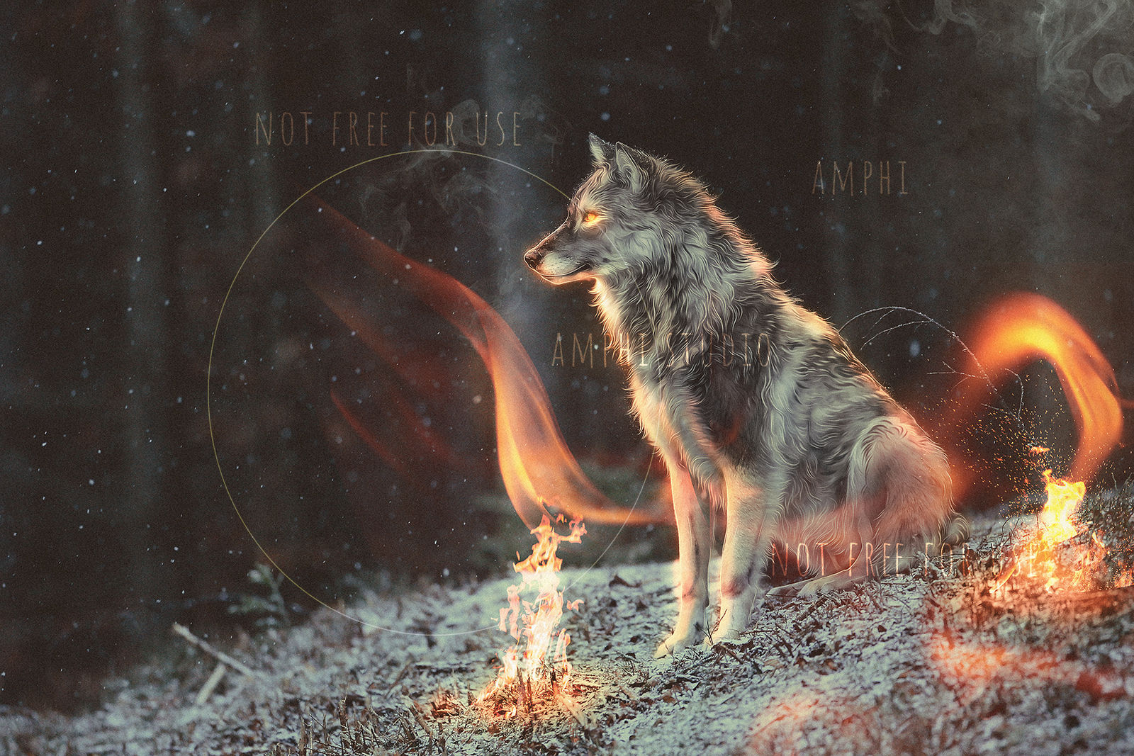 The Pyromancer by Amphispiza on DeviantArt