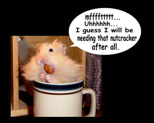 Nutcracker Please
