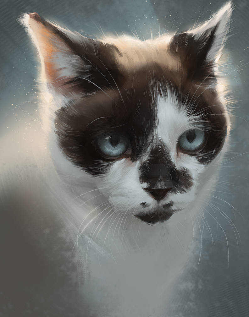 Кошка диджитал арт