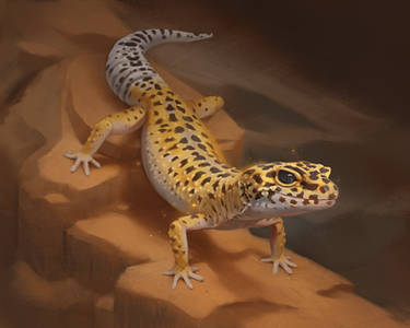 Gecko Deviantart Explore the Best Gecko Art | DeviantArt
