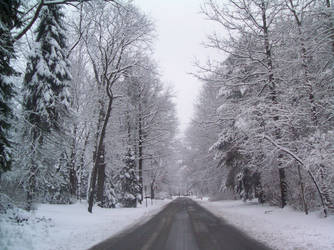 The Winter Road