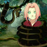 Kaa And Sakura Haruno