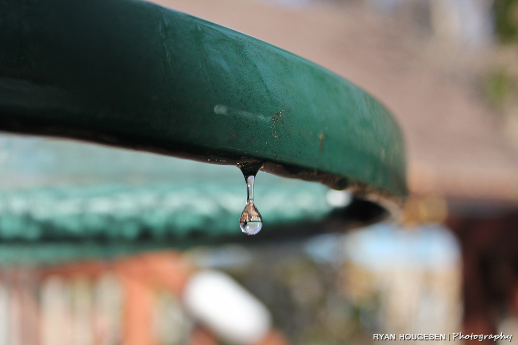 Water Drop