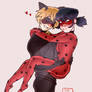 Ladybug and Catnoir