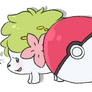 Shaymin Doodle