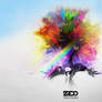 Zedd - True Colors Wallpaper