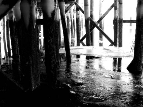 Under the Dock