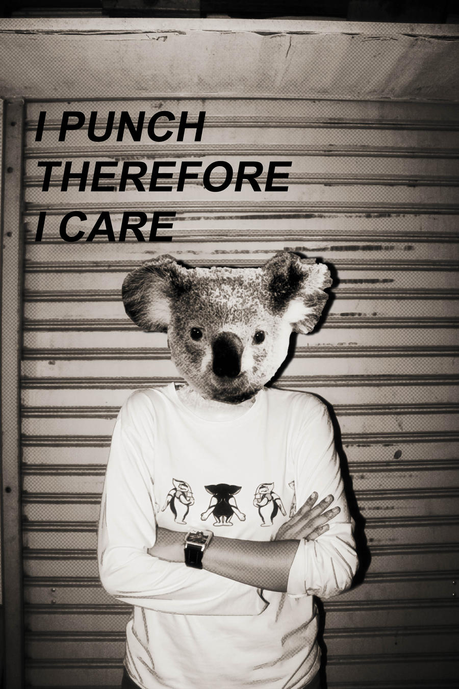 Angry Koala