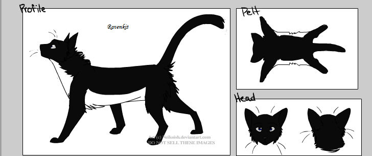 Ravenkit by Wolfang15 on DeviantArt