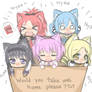 a box of magic kittens