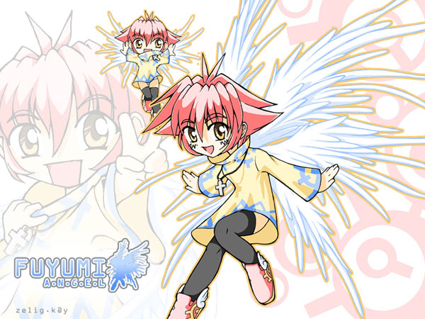 fuyumi angel