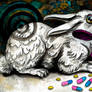 Rabbit and Pills