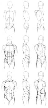 Basic Male Torso Tutorial by timflanagan