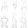 Basic Female Torso Tutorial